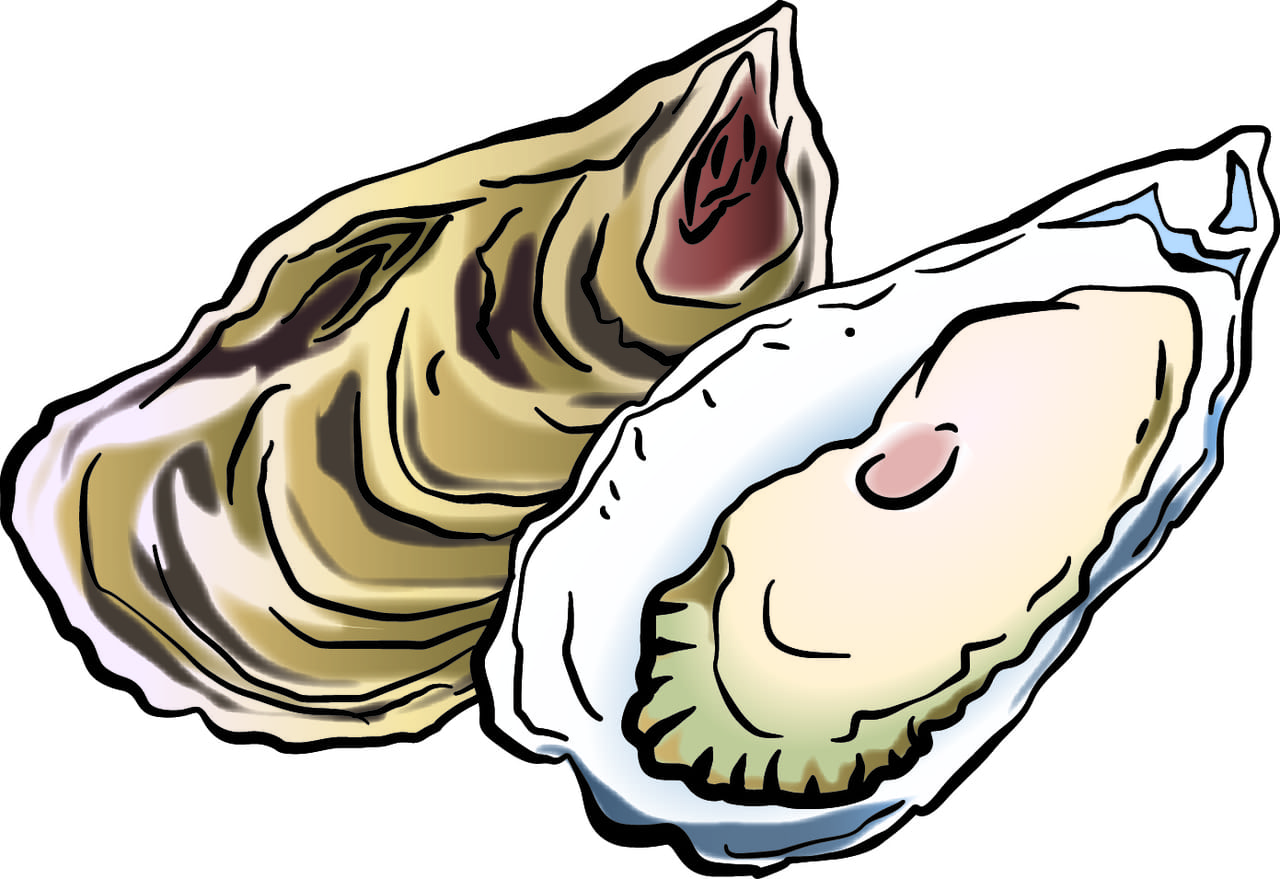 ノロウイルスは牡蠣のせい?原因を知ろう! | 医者と学ぶ「心と体のサプリ」